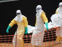 Хасиды могут привезти в Умань вирус Эбола